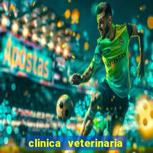 clinica veterinaria cuidar betim